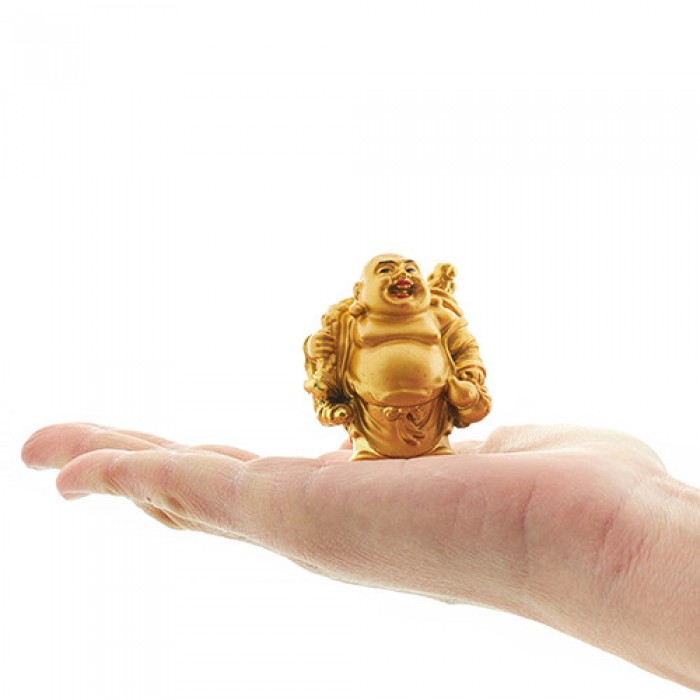 Βούδας Μινιατούρες Χρυσές (Σετ 6 Τεμάχια) Βουδιστικά - Ινδουιστικά
